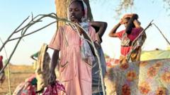 سازمان ملل: در پی سقوط شهر فاشر در سودان، بیش از ۶۰ هزار نفر گریخته‌اند