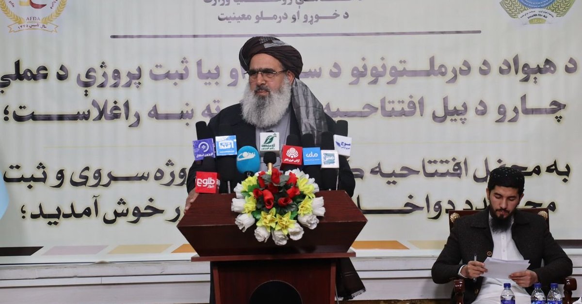 طالبان: د ۶۰ میلیونه افغانیو په لګښت به په هېواد کې ټول درملتونونه سروې او بیا ثبت شي