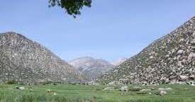 په ننګرهار کې ۱۰ کلنه نجلۍ په اوبو کې د ډوبېدو له امله مړه شوې