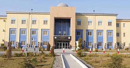 طالبان: په بېلابېلو ولایتونو کې د نشه‌يي توکو د قاچاق او جرمونو په تړاو ۸۵ کسان نیول شوي