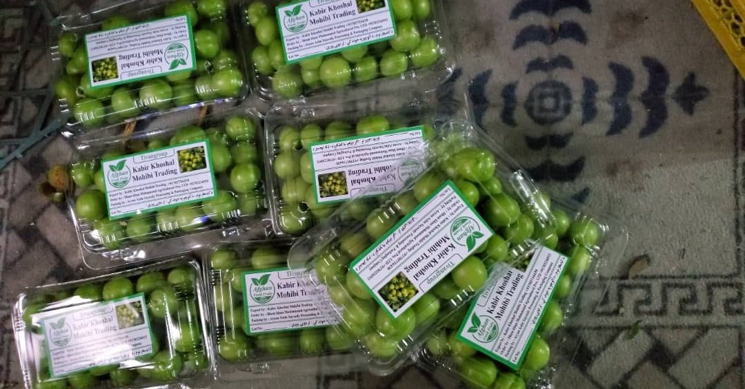 له کندهاره د لومړي ځل لپاره امارات ته د ۲۰ ټُنه الوچو صادرات پیل شول