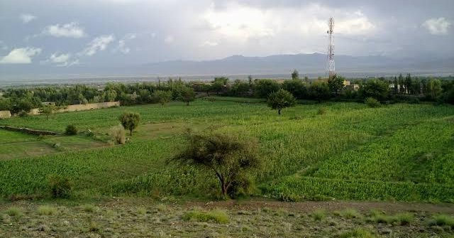 طالبانو په خوست کې څه باندې ۱۲ زره جریبه ځمکه دولتي اعلان کړې