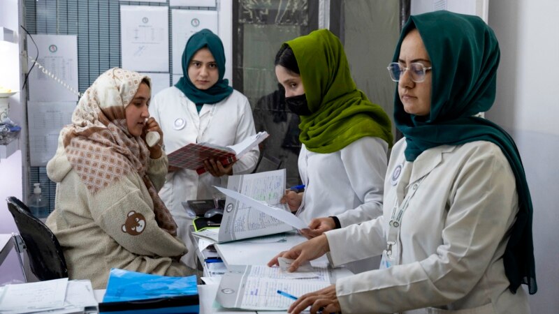 د قابلو نړیواله ورځ؛ ملګري ملتونه وايي پر یو میلیون قابلو دې پانګونه وشي