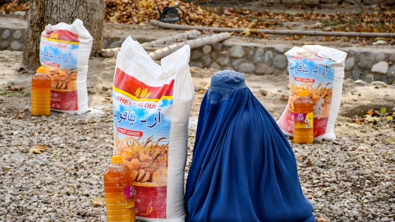 برنامه توسعه‌ای ملل متحد: روبه‌رو بودن حدود ۷۴ درصد مردم افغانستان با ناامنی غذایی، نشان‌دهنده عمیق‌تر شدن بحران بشری و اقتصادی است