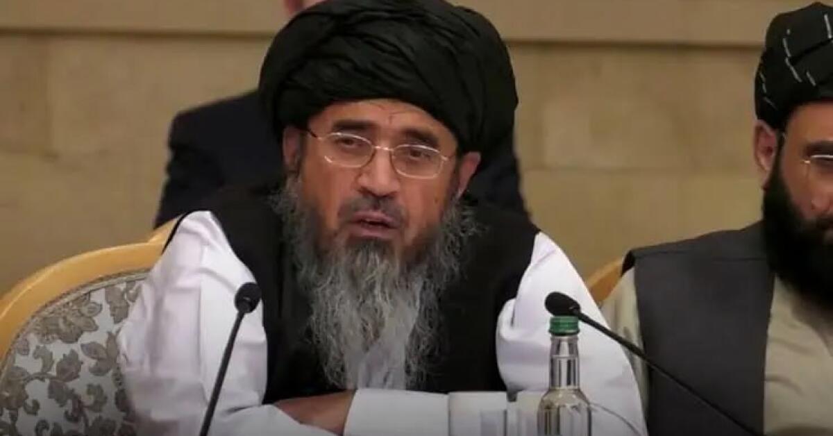 قاضی‌القضات طالبان: اطاعت وسیله‌ی تحکیم و بقای نظام است