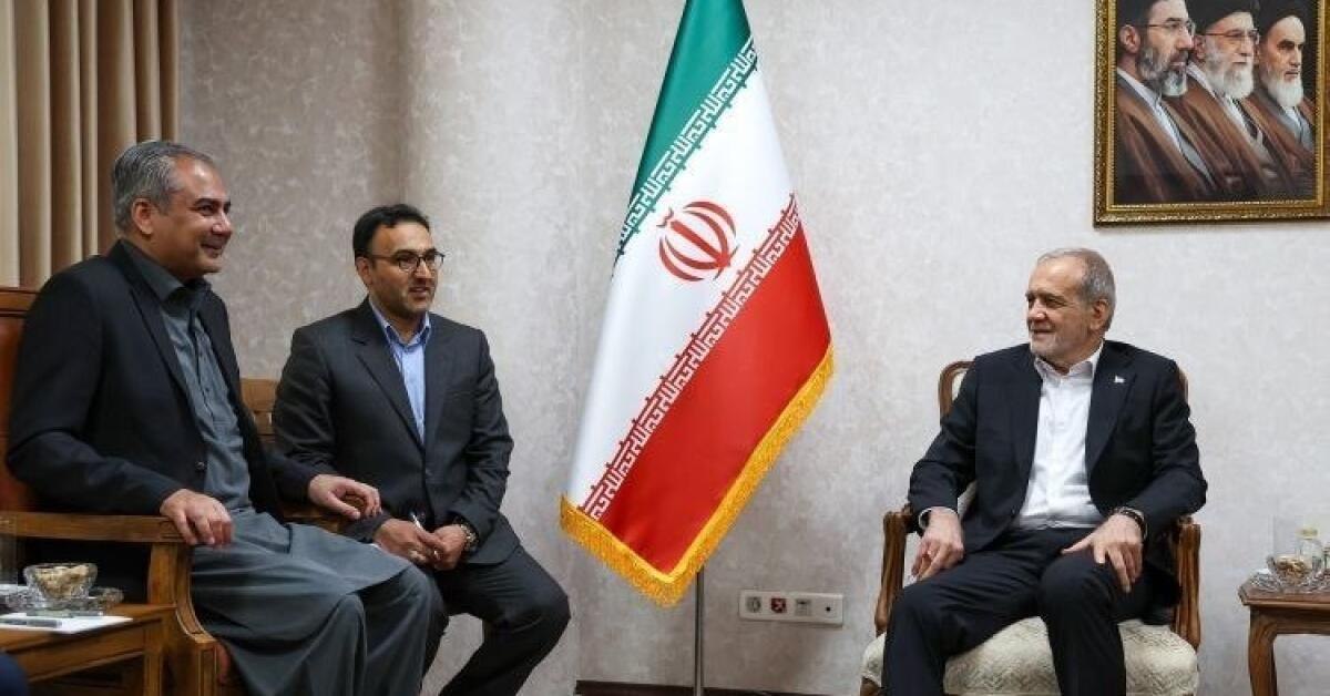 وزیر داخله‌ی پاکستان در سفر به تهران با رئیس‌جمهور ایران دیدار کرد