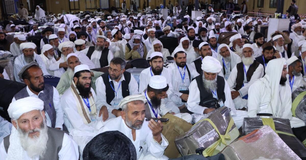 طالبان: ۳۰ هزار زائر حج به عربستان منتقل شدند