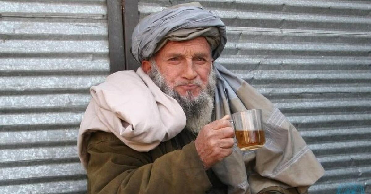 «روز جهانی چای»؛ نوشیدنی‌ای که مردم افغانستان با دوست و دشمن می‌نوشند