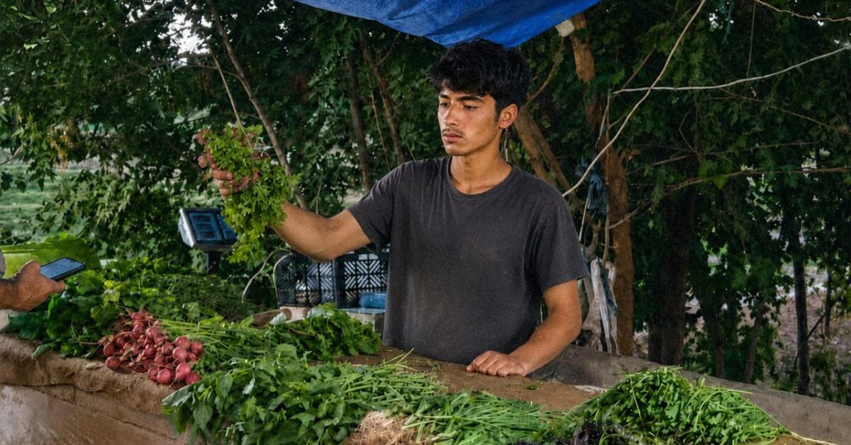 خشونت سودآور