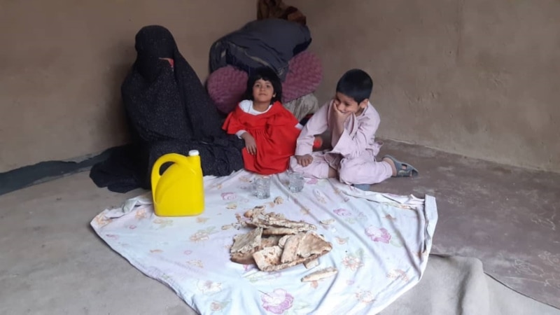 سازمان ملل متحد: گرسنگی و سوء تغذیه در افغانستان به سطح بحرانی رسیده است