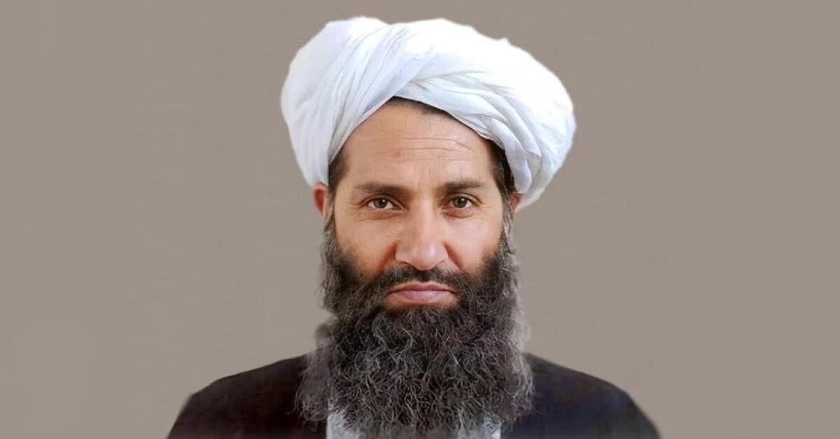 رهبر طالبان: برای جلوگیری از انتقام‌جویی عفو عمومی اعلام کردم