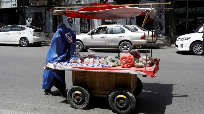 شورای پناهندگان ناروی؛ افغانستان پنجمین کشور بحران‌زدۀ فراموش شده در ۲۰۲۵