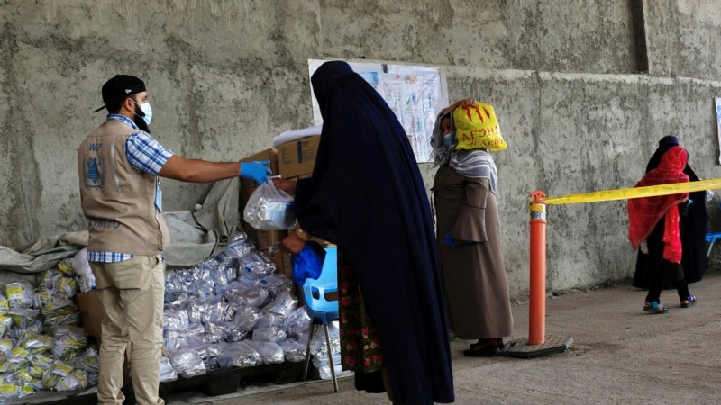 برنامه جهانی غذا: در سال ۲۰۲۶ حدود ۱۷ میلیون افغان با گرسنگی شدید روبه‌رو خواهند شد