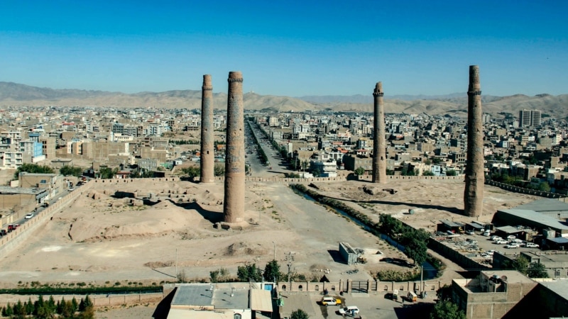 د هرات اوسیدونکي؛ طالبانو ۳۰ تنه لاریون کوونکي له ځان سره یوړل