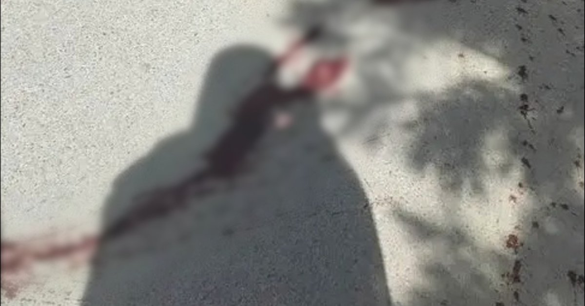 د ازادۍ او عدالت غورځنګ: طالبان له دین څخه د یوې وسیلي په توګه کار اخلي