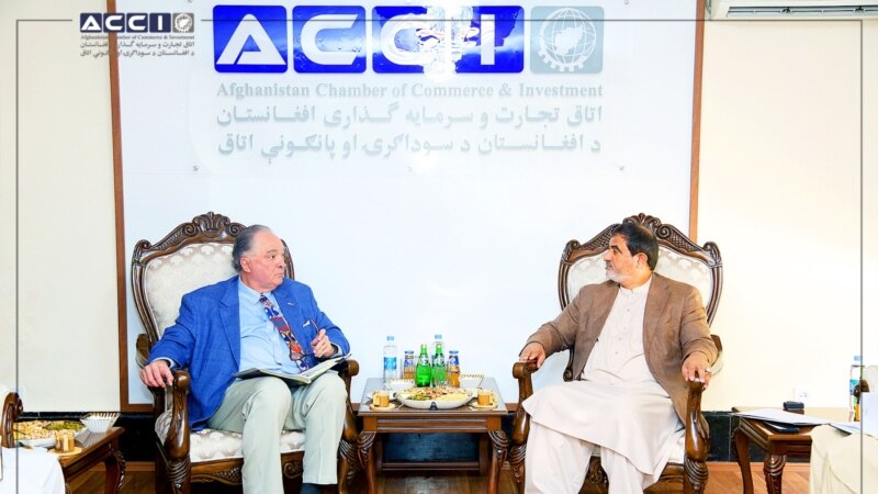 کارپوهان کابل کې دافغان او امریکايي سوداګرو د وروستیو خبرو په هکله وايي افغانستان کې لویې امریکايي پانګونې مناسب سیاسي بستر ته اړتیا لري