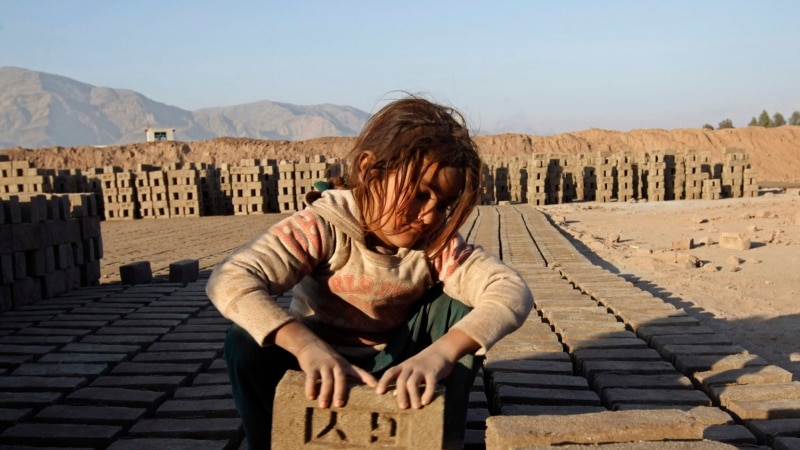 د ماشومانو د کار په وړاندې د مبارزې نړیواله ورځ؛افغانستان کې لا هم میلینونه ماشومان کار کوي