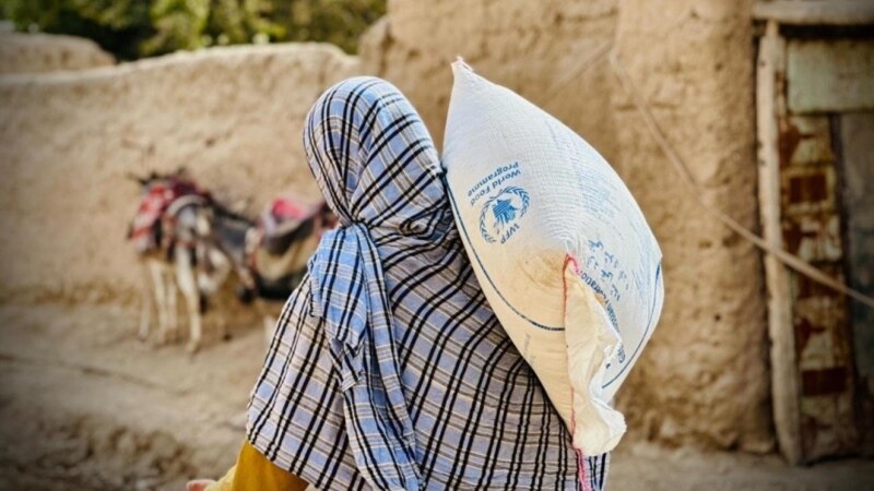 د بودجې کمښت د افغانستان بشري مرستو ته جدي ګواښ دی