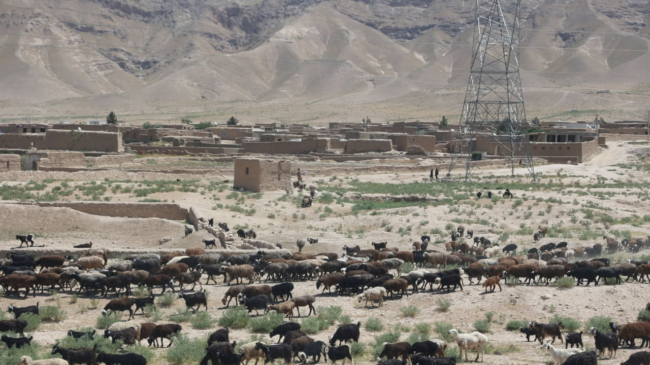 یوناما: خشک‌سالی و بیابان‌زایی زندگی مردم و امنیت غذایی را تهدید می‌کند