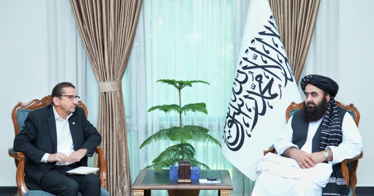 وزیر خارجه‌ی طالبان با معاون یوناما در مورد مدیریت کمک‌های بشردوستانه صحبت کرد