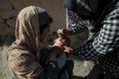 افغانستان کې د روان کال له پيله پر ګوزڼ د اخته کسانو شمېر ۱۵ ته رسېدلی