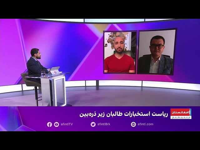 آرین شریفی: طالبان دست‌کم ۴۰ ریاست استخبارات در کابل دارد