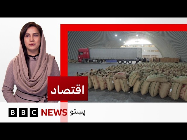 اقتصاد: تېر کال د افغانستان څومره وچه مېوه صادره شوې؟