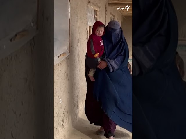 هایلایټ؛ لنډ او مهم خبرونه