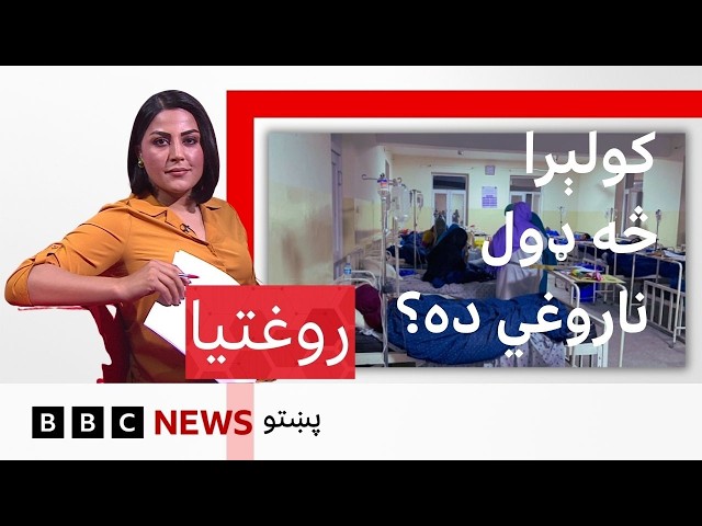 کولېرا: څه ډول ناروغي ده، درملنه او مخنيوی يې څنګه کېدی شي؟