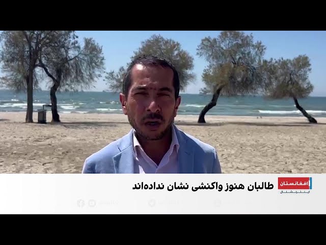 هشدار درباره جابه‌جایی‌های قومی در فاریاب