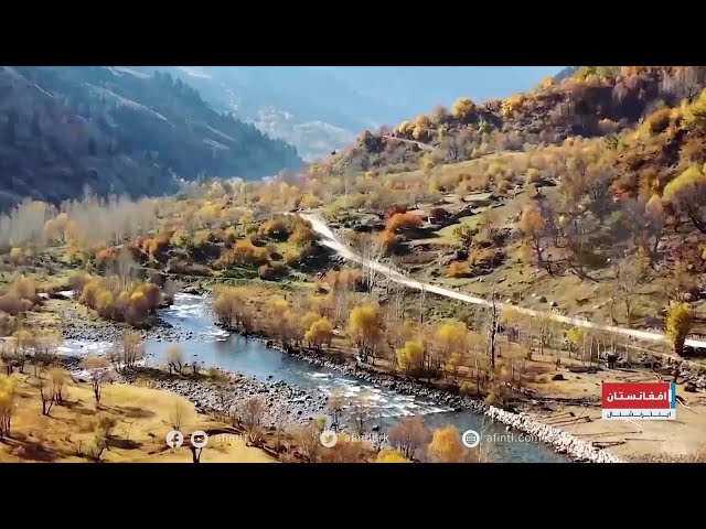 هشت جوزا؛ روز ملی زبان پشتو