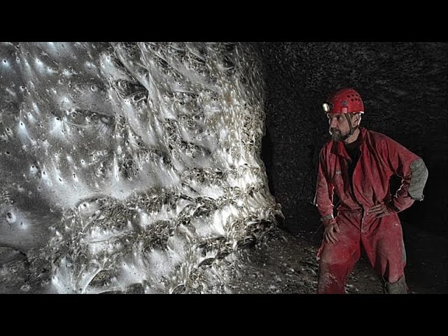 کشف عنکبوت غول‌پیکر «مگاسیتی» در غاری در مرز آلبانی و یونان