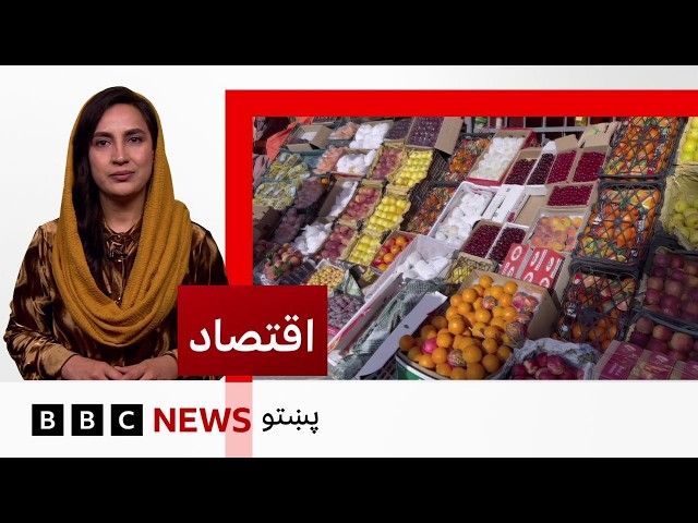 اقتصاد: د افغانستان مېوو بازارموندنې ستونزې، سوداګر او بڼوال څومره تاوانونو سره مخامخ دي؟