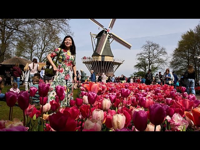 کوکنهوف هلند در بهار میزبان گردشگران جهانی است