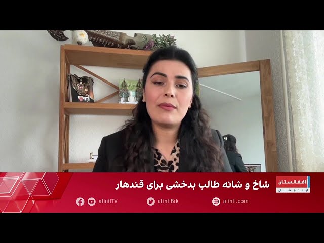فرح مصطفوی: طالبان در شمال و جنوب سیاست دوگانه در قبال کشت خشخاش دارند