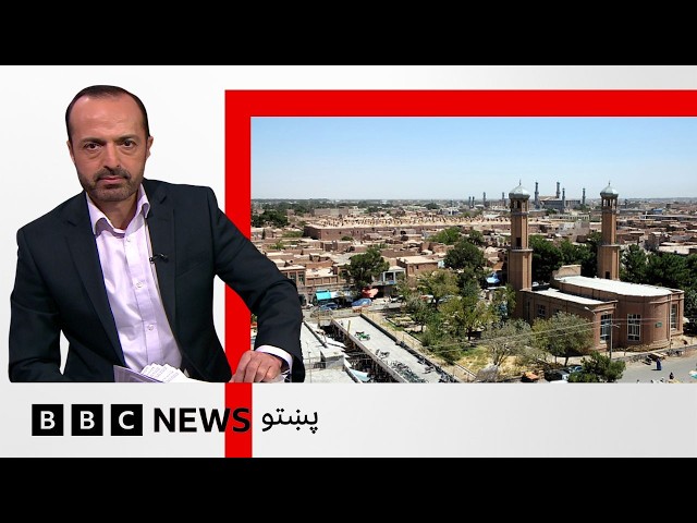 هرات کې د يوه لاريون پر مهال مرګژوبله اوښتې، لږترلږه دوه لاريونيان وژل شوي - بي بي سي