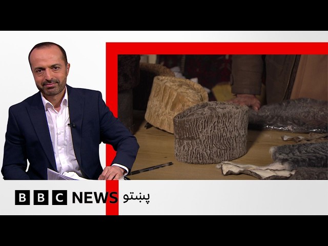 اافغانستان کې د  قرقل صنعت په اړه اندېښنې، ولې مخ پر ځوړ دی؟ بي بي سي