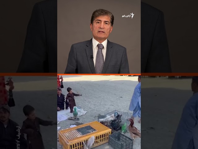 هایلایټ: لنډ او مهم خبرونه