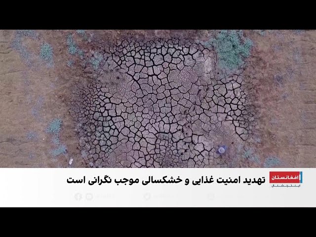 زنگ خطر تغییرات اقلیمی در روز محیط زیست