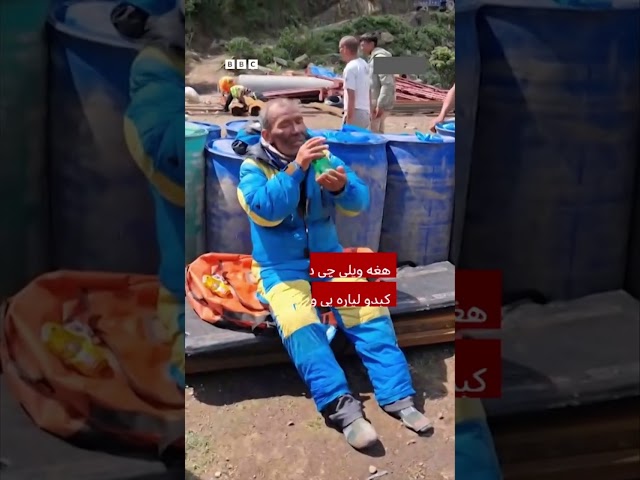 لارښود له شپږو ورځو وروسته ژوندی وموندل شو