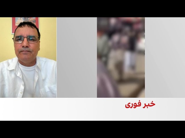 جیلانی فرهاد: طالبان پیوندی با حکومتداری ندارند