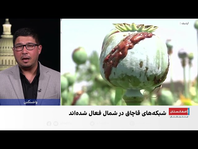 کوچ دهقانان جنوب به شمال برای کشت و تولید خشخاش