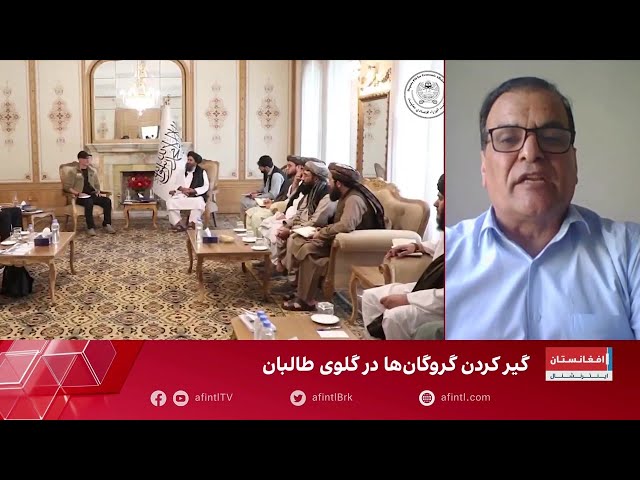 دانش: دیدار ملاها با الظواهری محل او را افشا کرد