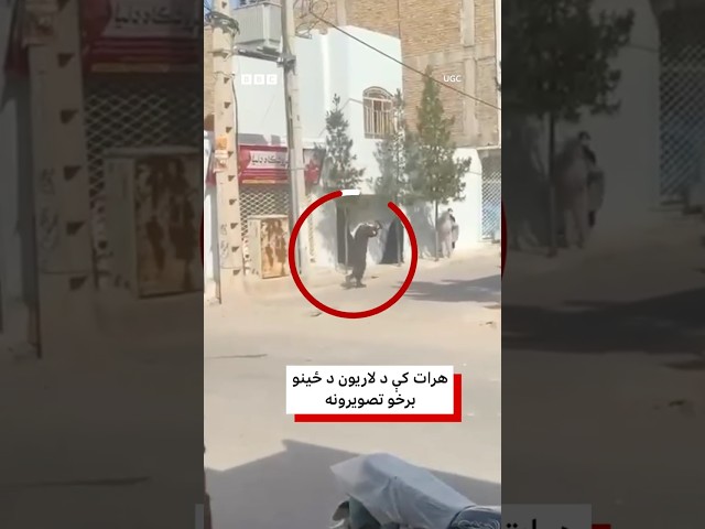 هرات کې پر لاریونوالو ډزې