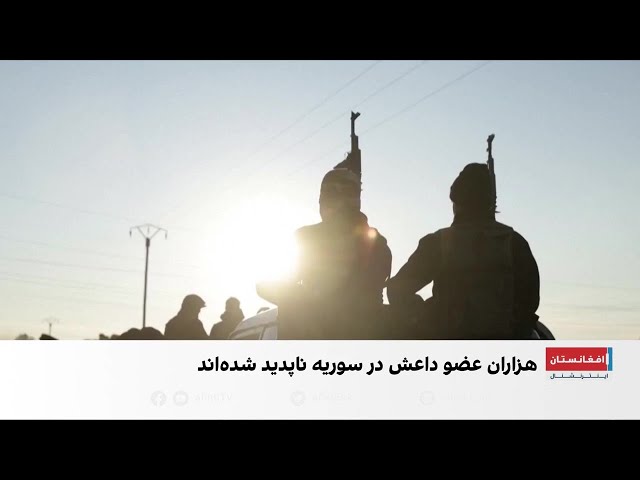 هشدار پنتاگون درباره بازگشت داعش در سوریه
