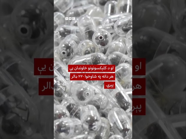 د ژوندیو مېږیانو قاچاق: یو چینی سړی کینیا کې پر یوکال زندان محکوم شوی