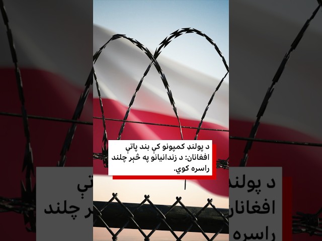 د پولنډ کمپونو کې بند پاتې افغانان: د زندانون په څېر چلن راسره کوي