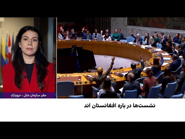 افغانستان در دستور کار دو نشست شورای امنیت