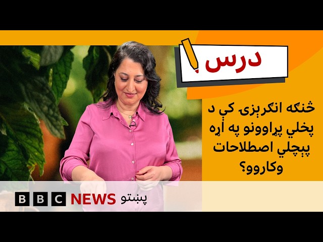 د منځنۍ کچې انګرېزي: انګرېزۍ کې د پخلي په اړه پېچلي لغتونه | د بي بي سي درس – شپږم فصل، یولسمه برخه