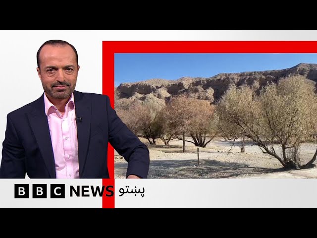 بلوچستان کې اورښتونو هيلې تازه کړې، خو له څو کلونو راهيسې ناوړه وچکالۍ څومره ځپلی؟ بی بي سي